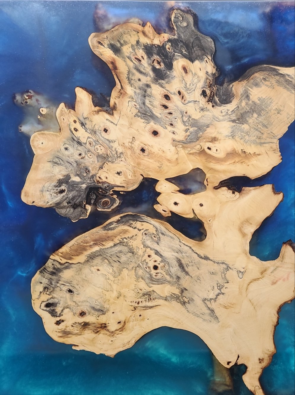 CB-12X16-EXOTIC (PREMIUM)
