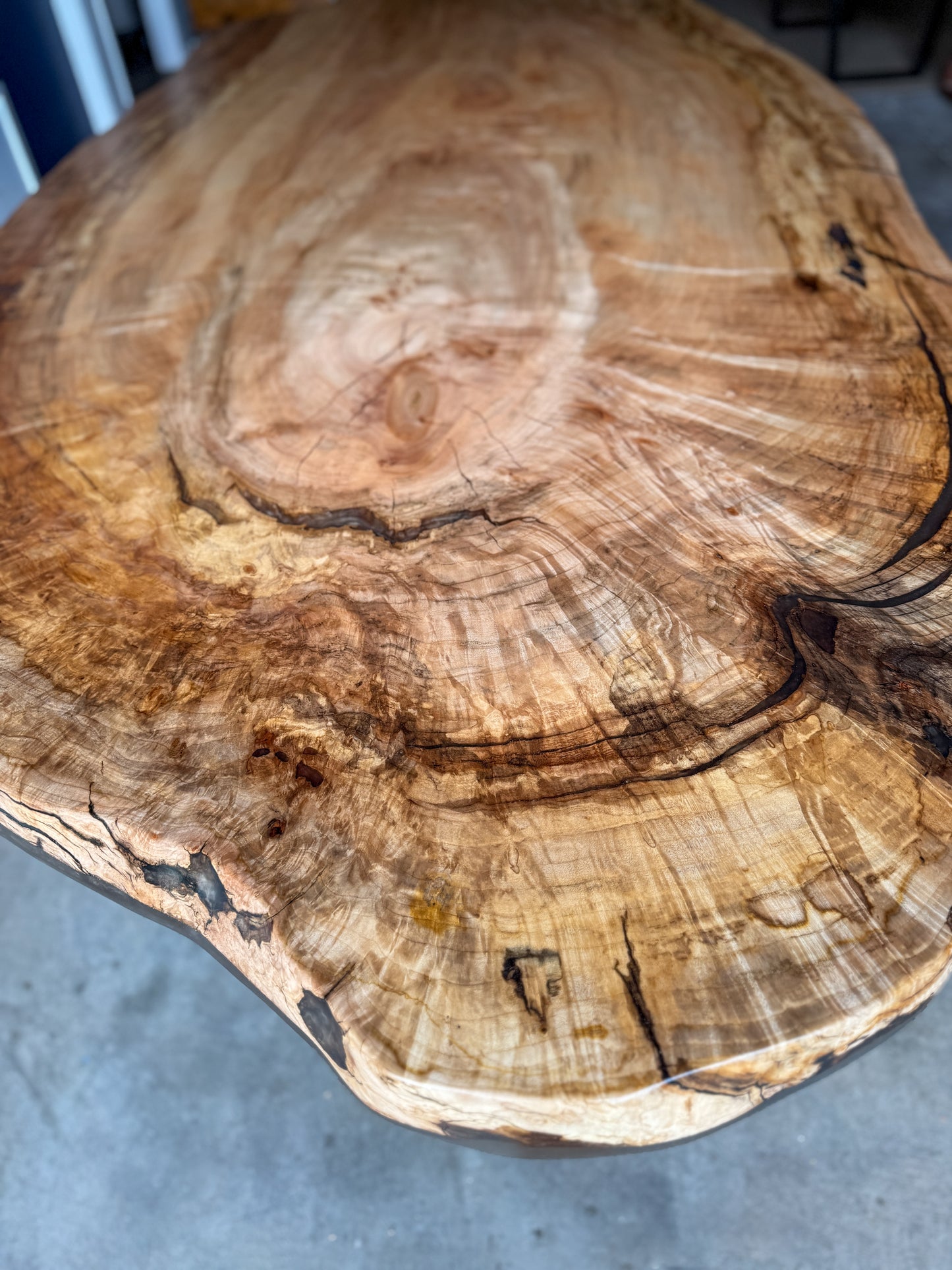 Maple Oval Live Edge Dining Table