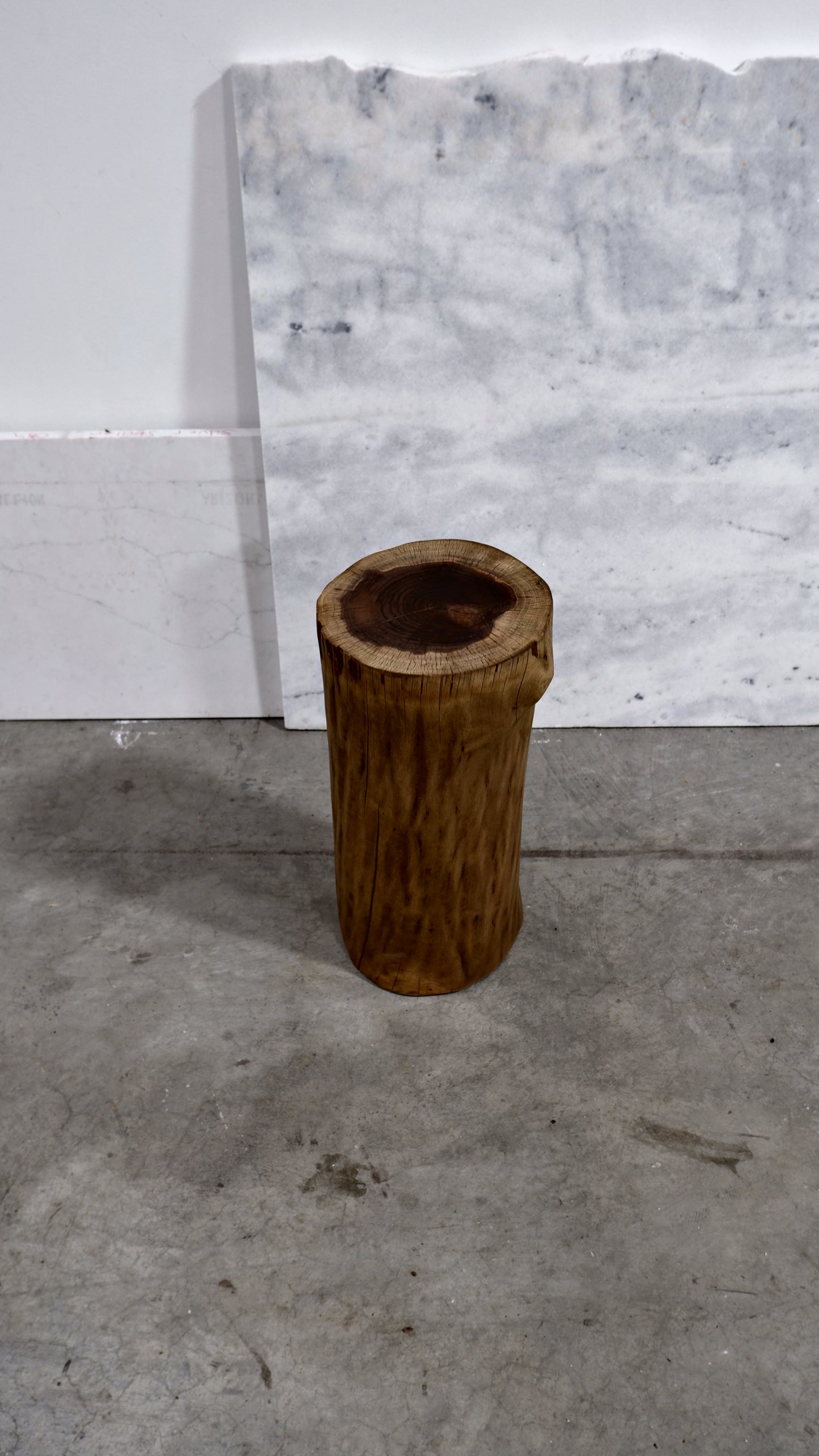 Black Walnut Stump