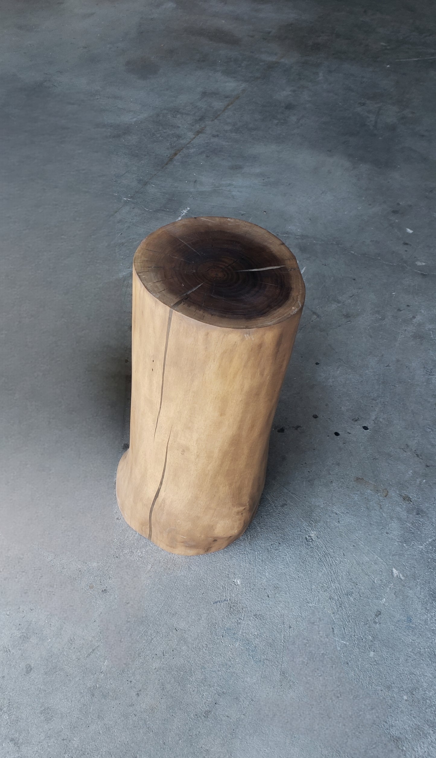 Black Walnut Stump