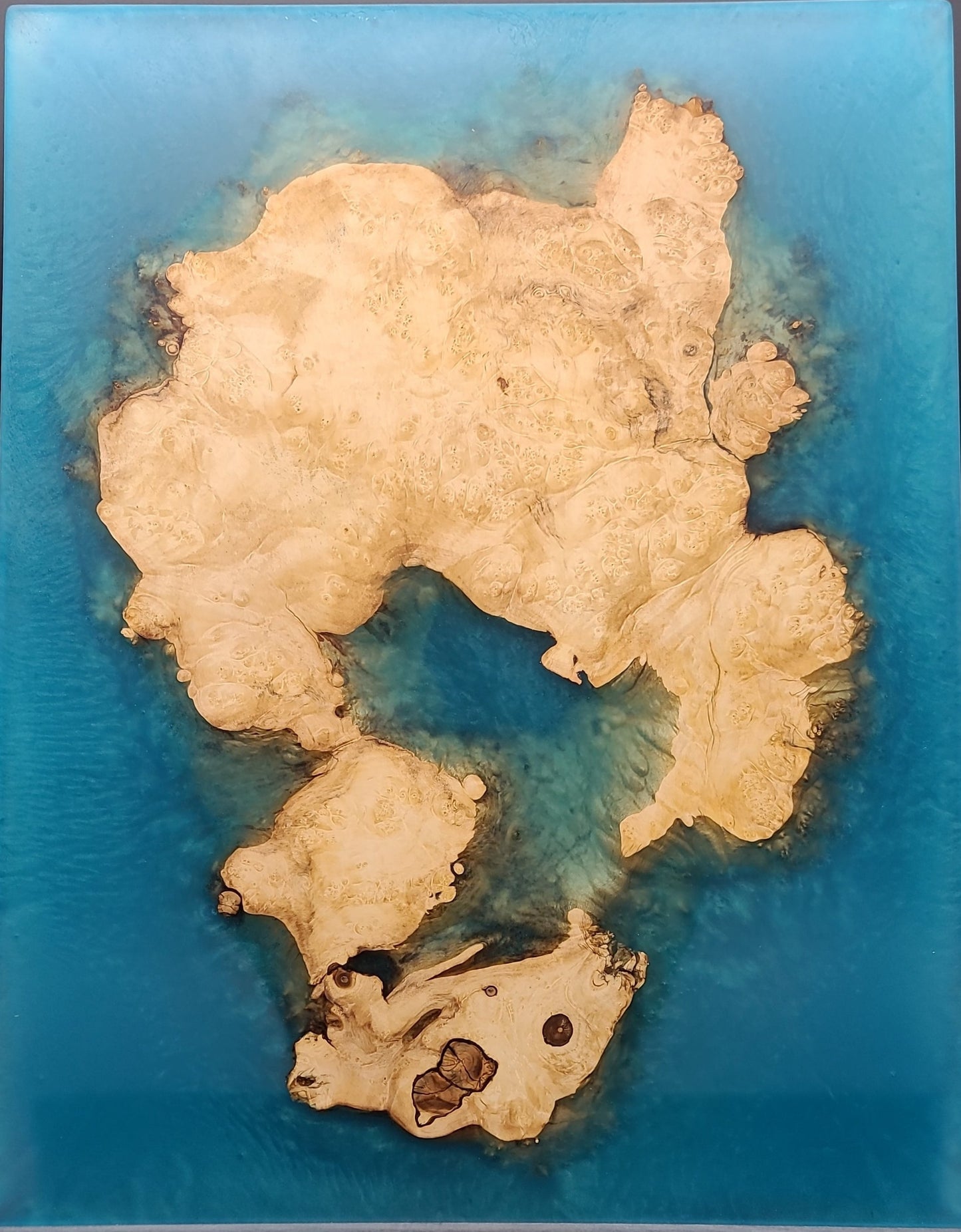 Box Elder Burl Art Piece with Epoxy