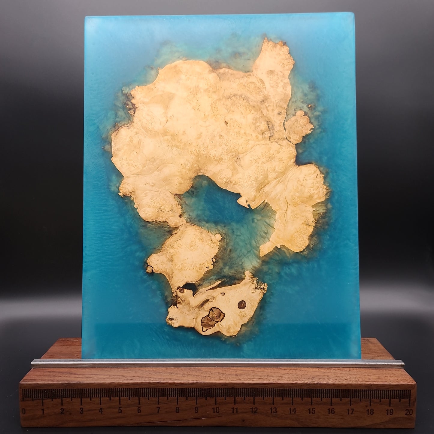 Box Elder Burl Art Piece with Epoxy