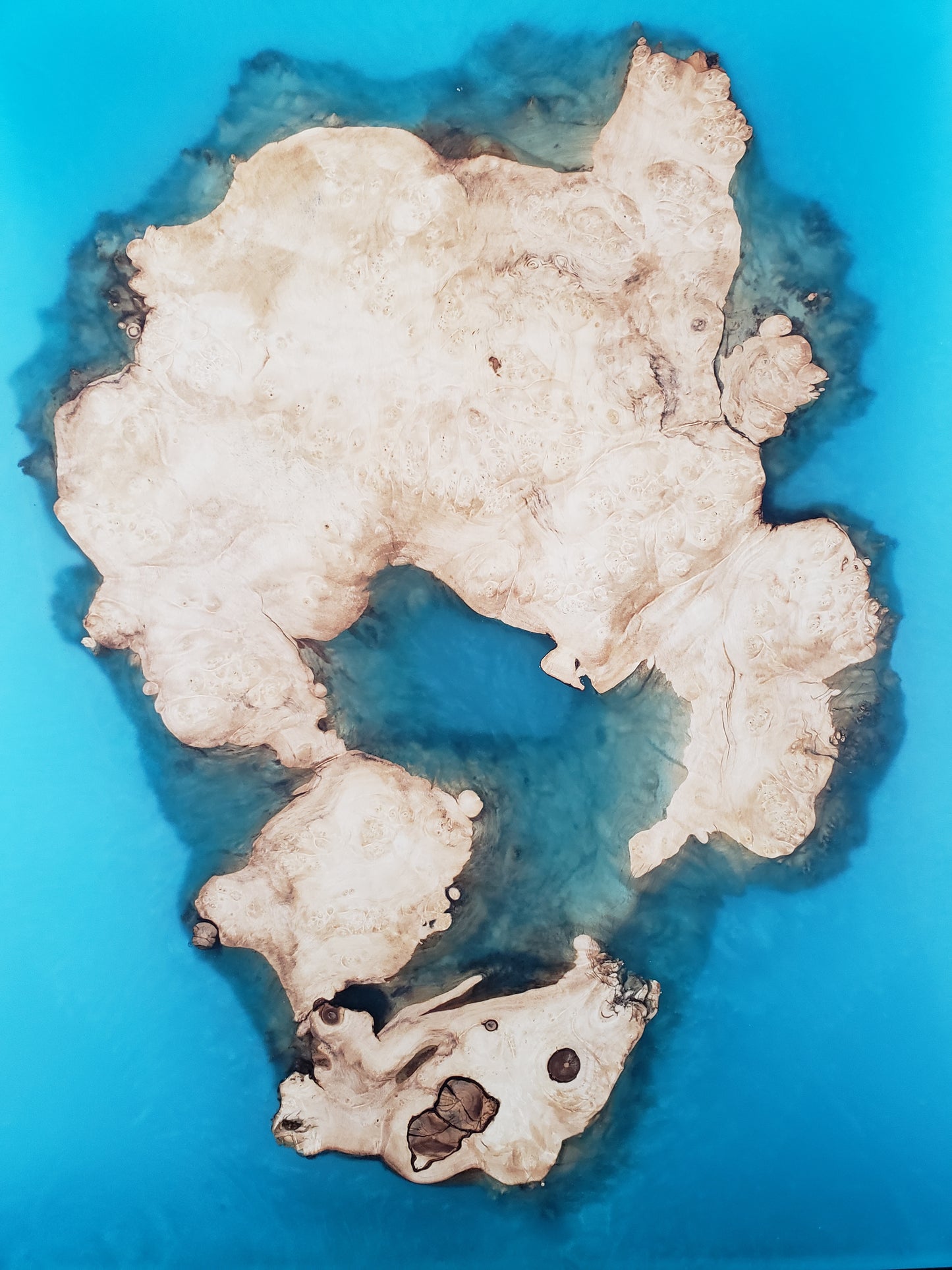 Box Elder Burl Art Piece with Epoxy