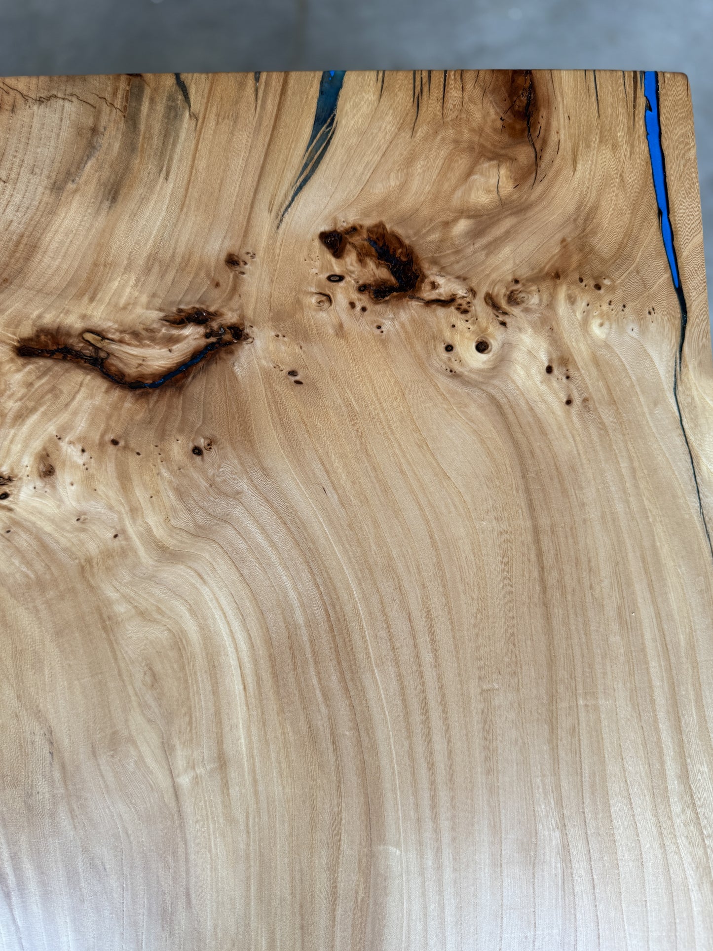 Siberian Elm Blue Resin Coffee Table