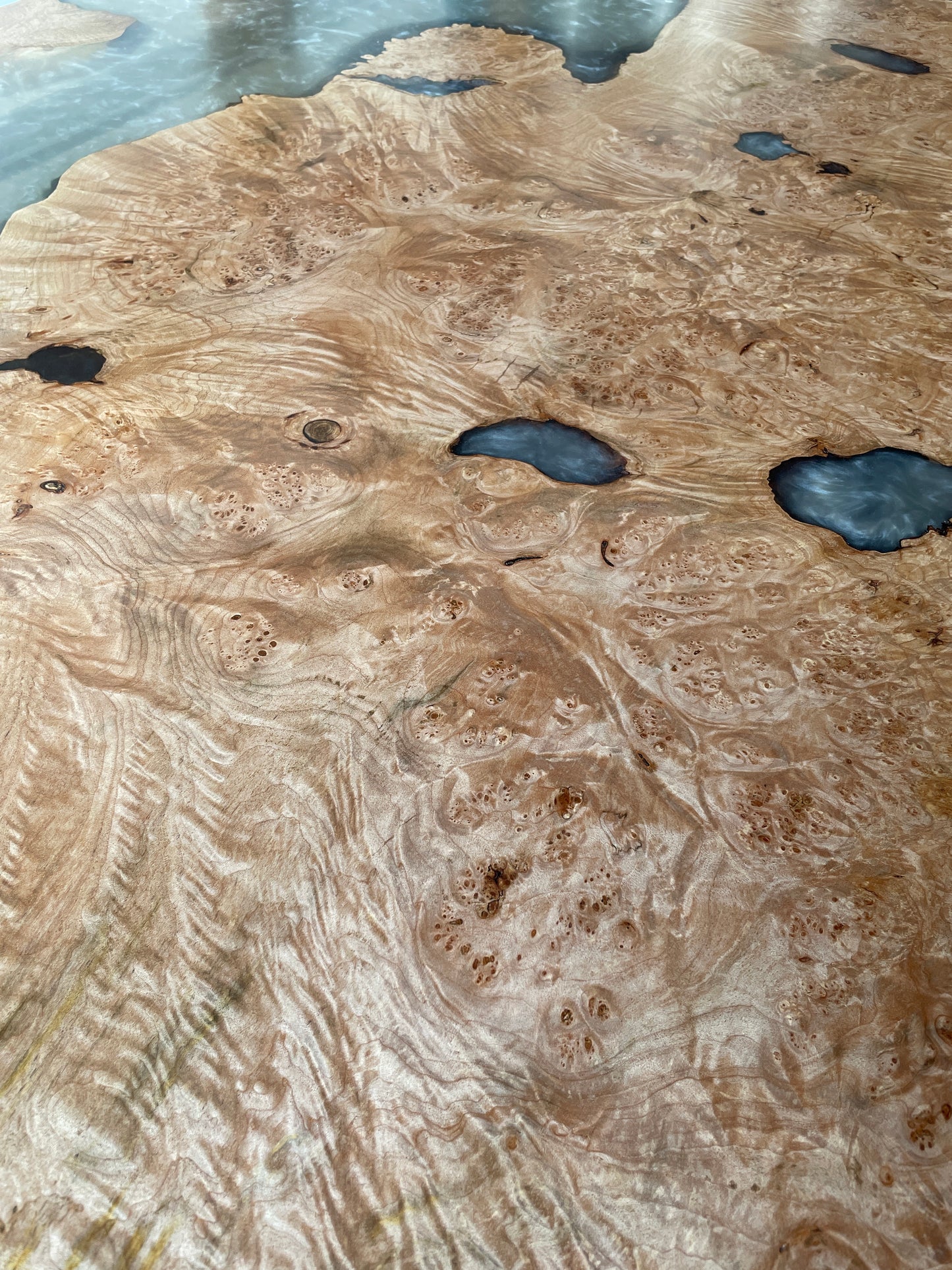 Encased Maple Burl Art Dining Table