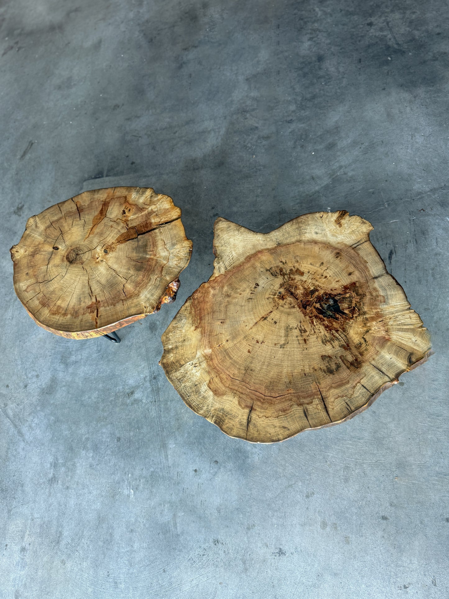 Box Elder Live Edge Cookie Side Tables