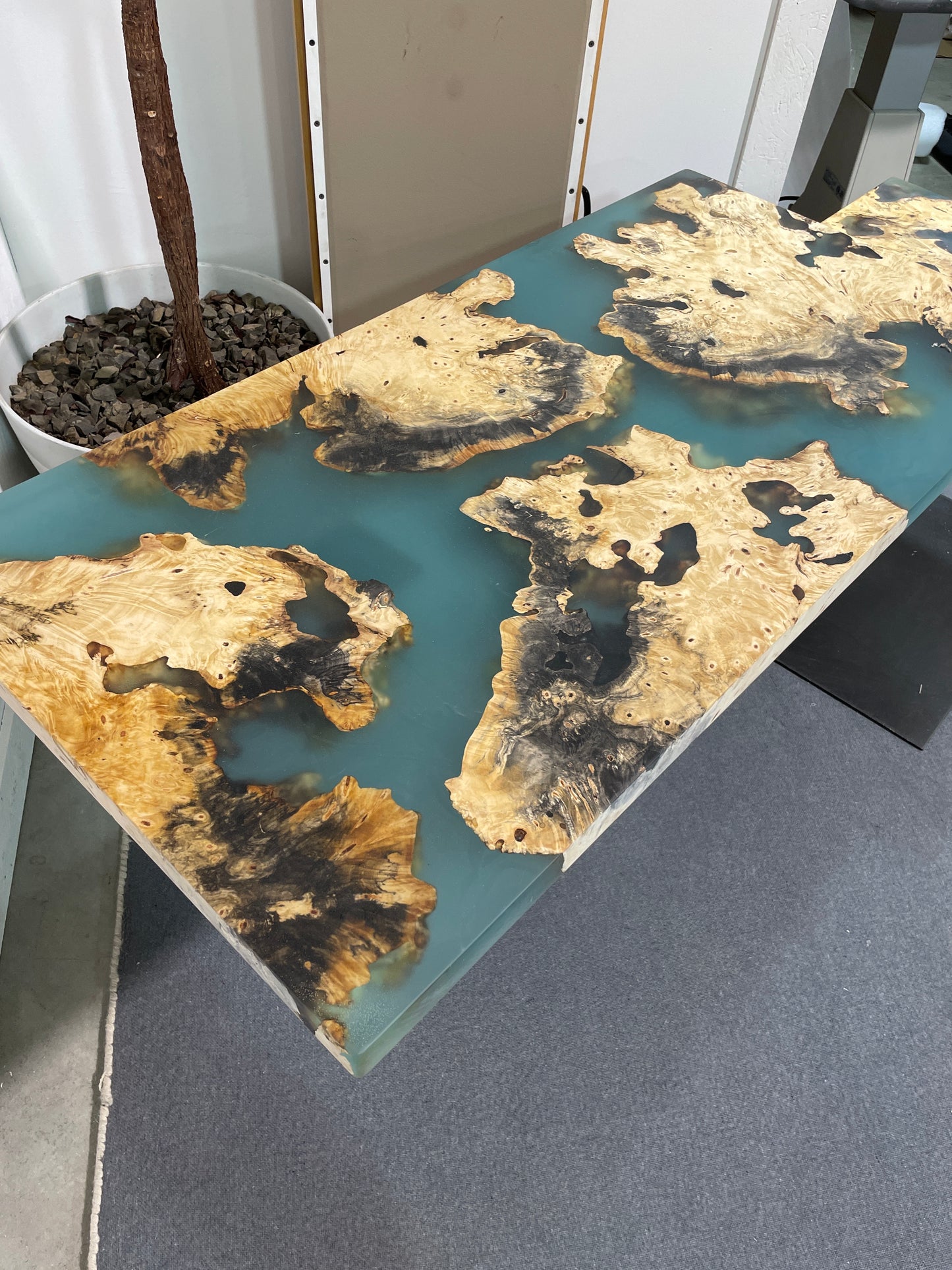 Encased Buckeye Burl Art Table