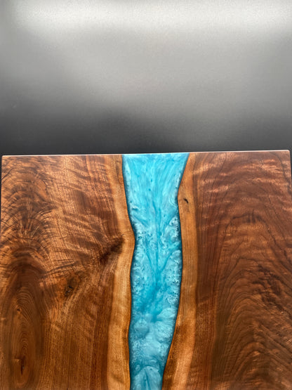 CB-16X20-TURQ (PREMIUM)