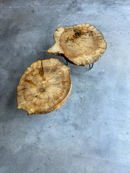 Box Elder Live Edge Cookie Side Tables