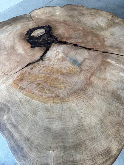 Maple Cookie Coffee Table