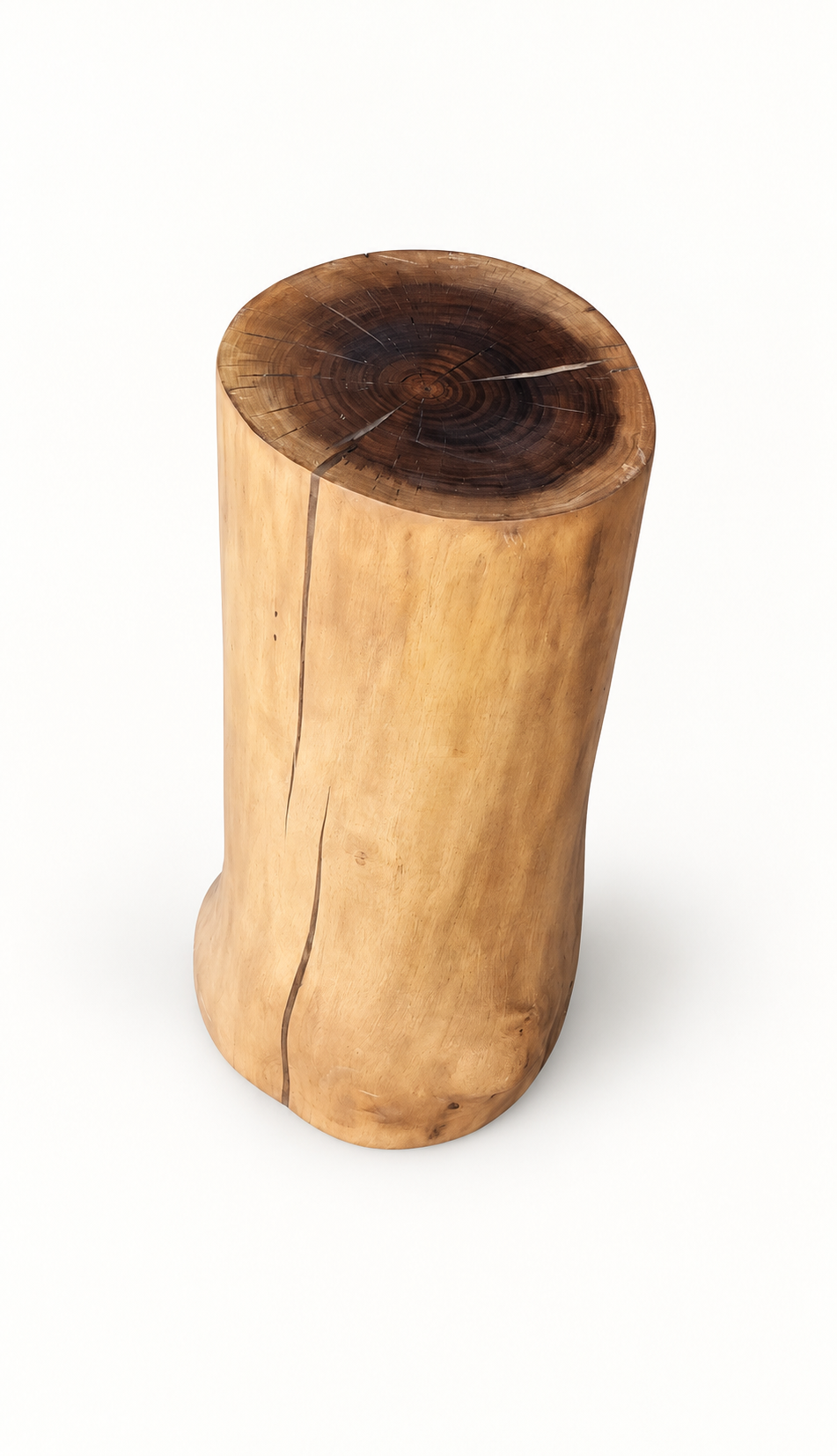 Black Walnut Stump on a clean white background