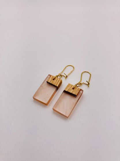 Epoxy Earrings - Orange